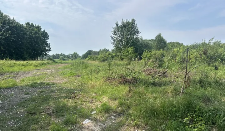 Działka inwestycyjna Przecław, ul. Lipowa