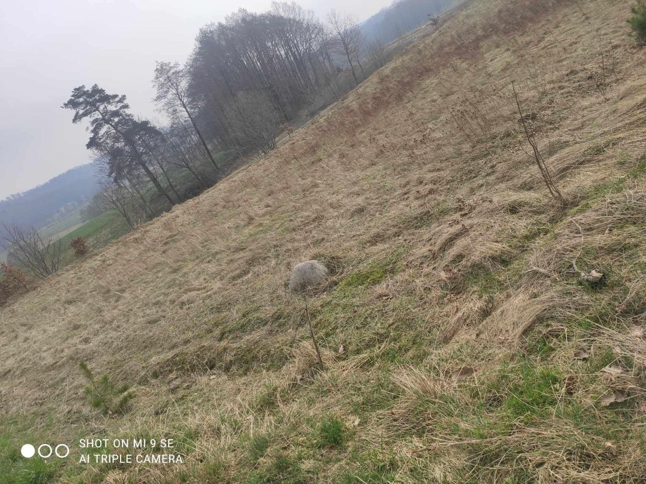 Działka rolno-budowlana Nowa Huta. Zdjęcie 4