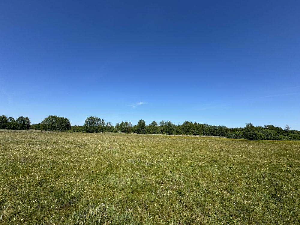 Działka rekreacyjna Cisiny. Zdjęcie 6