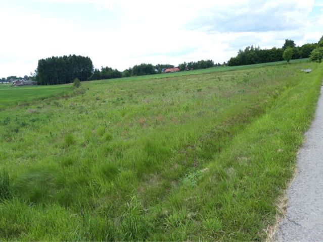 Działka budowlana Oblęgór, ul. Spacerowa. Zdjęcie 1