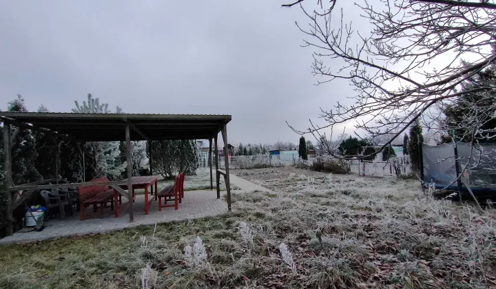 Działka rod Sępólno Krajeńskie