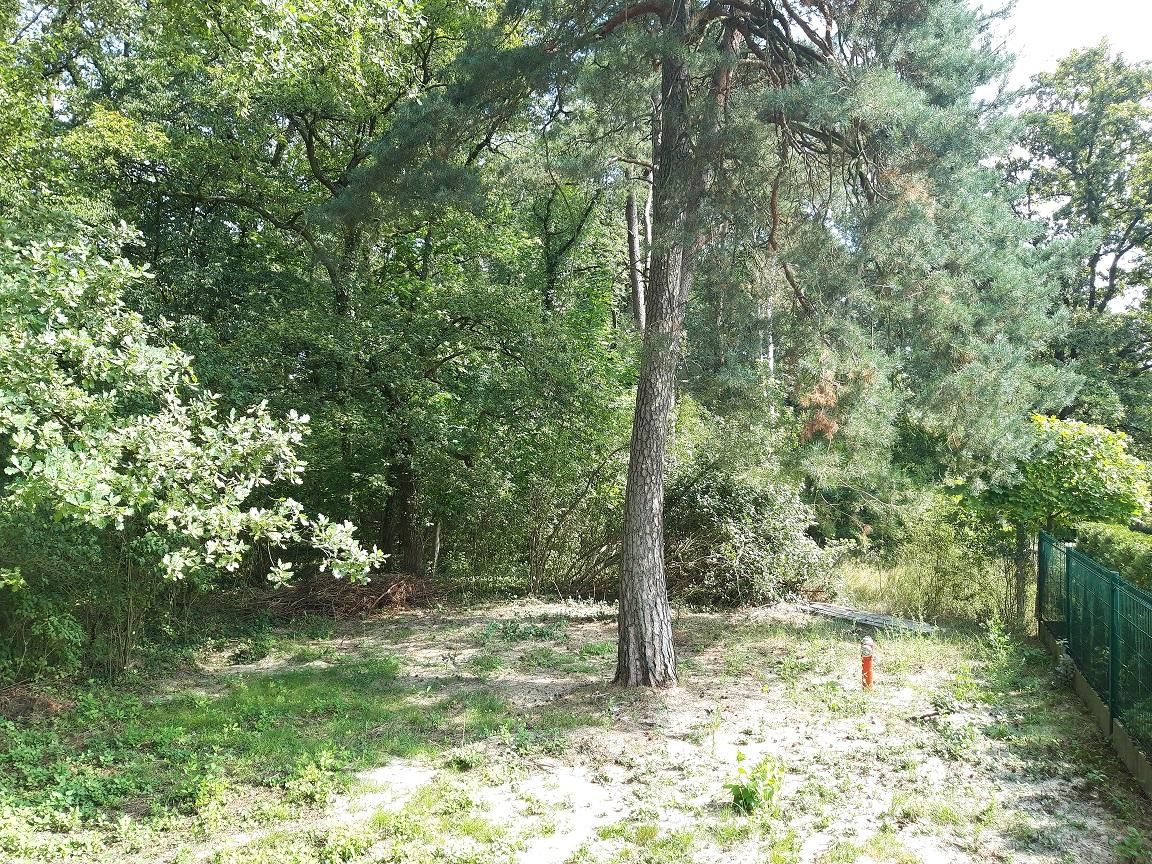 bliźniak, 3 pokoje Turawa. Zdjęcie 7