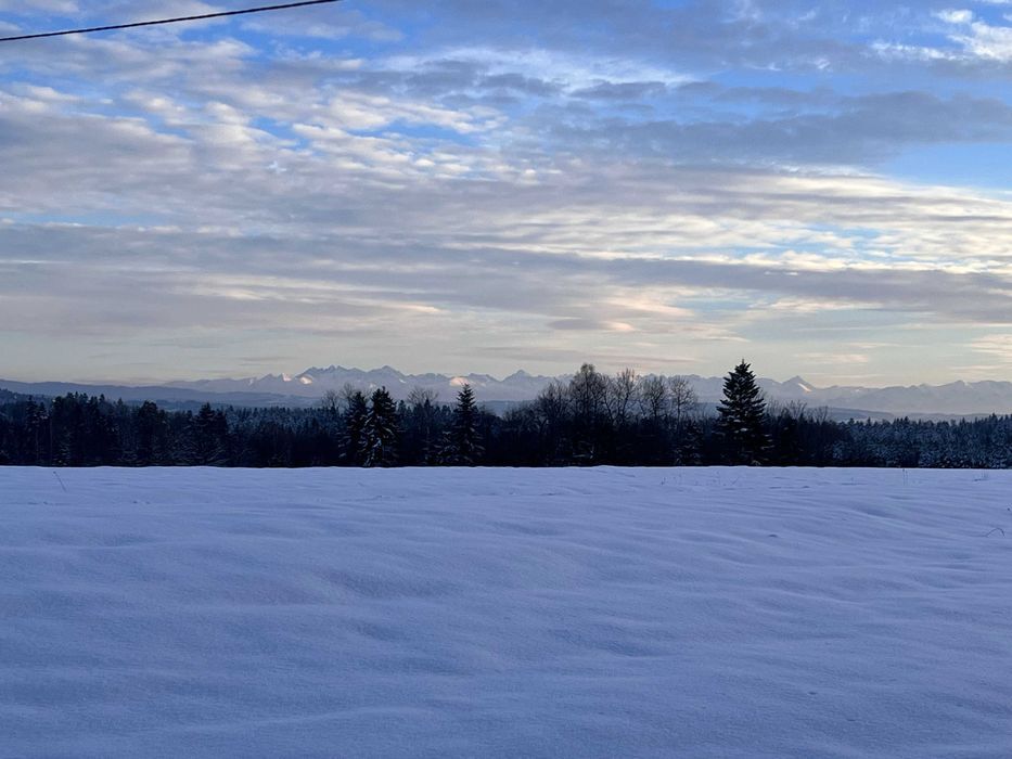 Działka rolna Łętownia. Zdjęcie 3