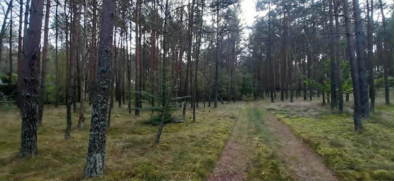 Działka siedliskowa Olpuch. Zdjęcie 7