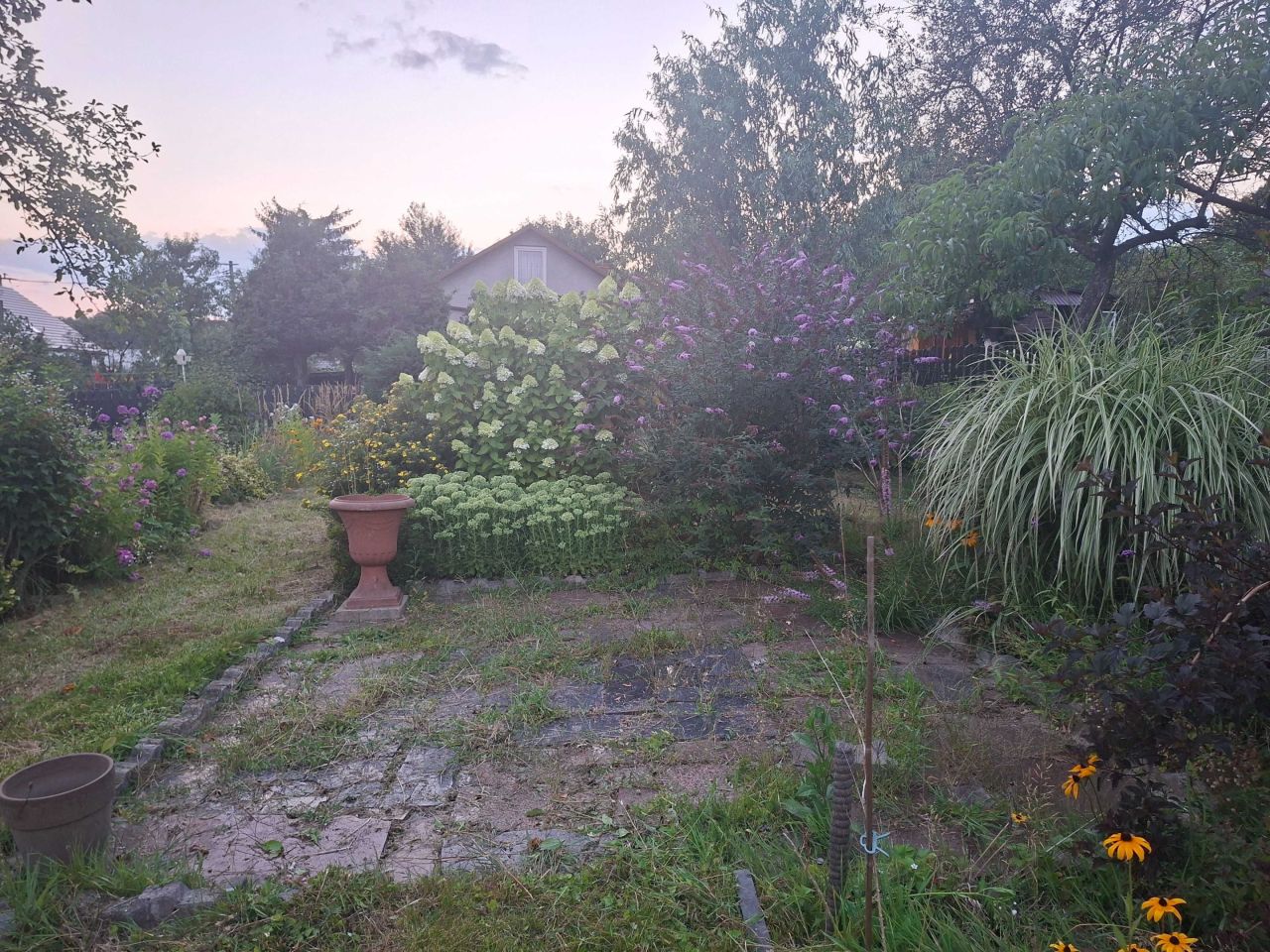 Działka rod Radlin. Zdjęcie 8