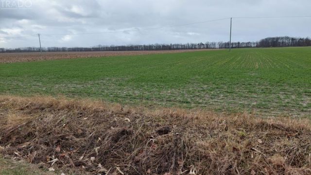 Działka rolna Sokołowo-Parcele. Zdjęcie 1