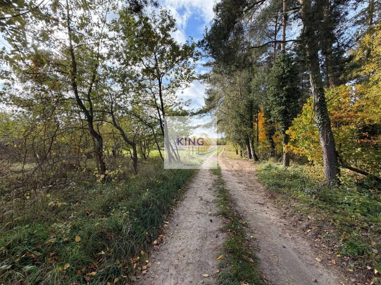 Działka siedliskowa Żórawie Szczawno. Zdjęcie 5