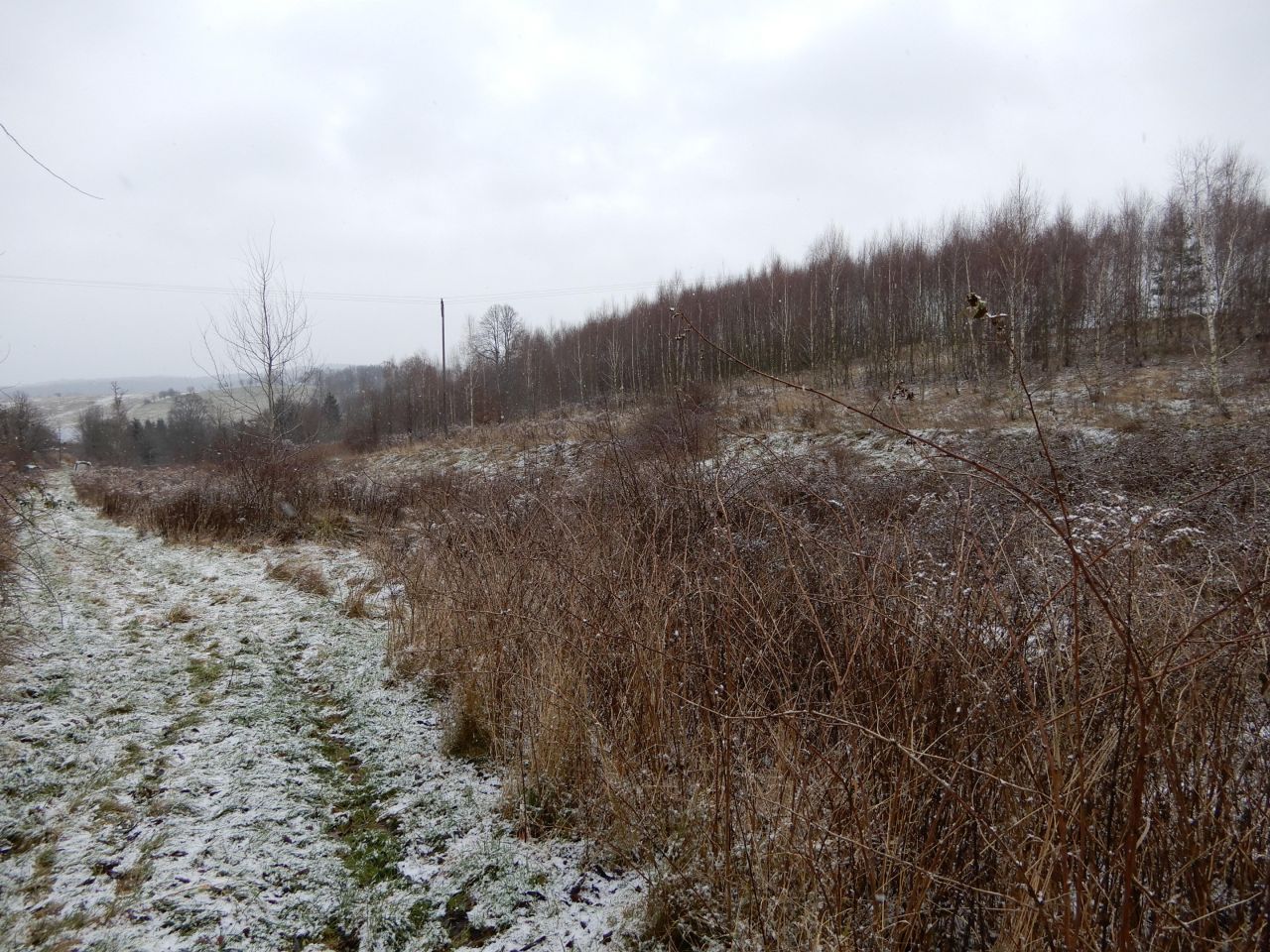 Działka rolna Pławna Dolna. Zdjęcie 6