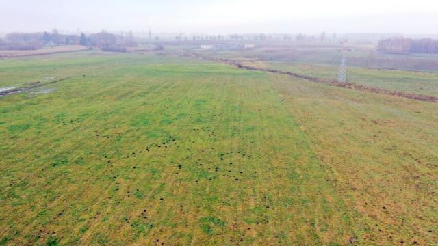 Działka rolna Siedliska. Zdjęcie 9