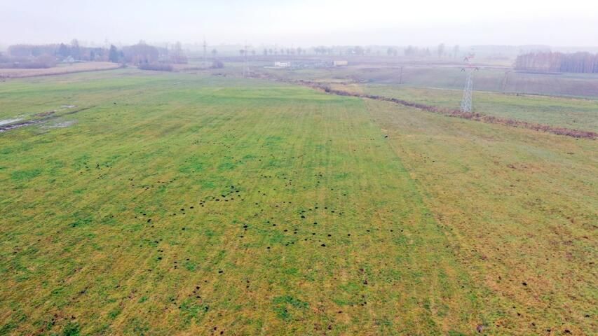 Działka rolna Siedliska. Zdjęcie 9