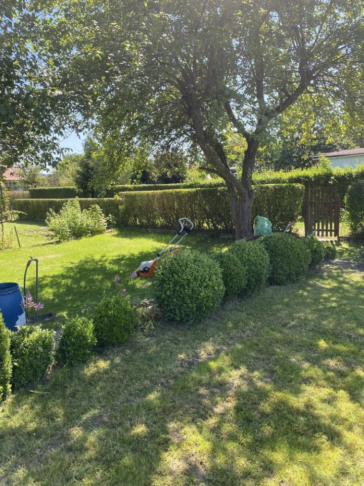 Działka rod Kamienna Góra, ul. Przemysłowa. Zdjęcie 3