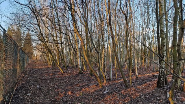 Działka budowlana Milanówek. Zdjęcie 1