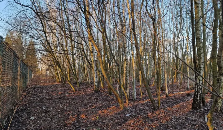 Działka budowlana Milanówek