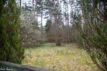 Działka budowlana Marózek. Zdjęcie 4