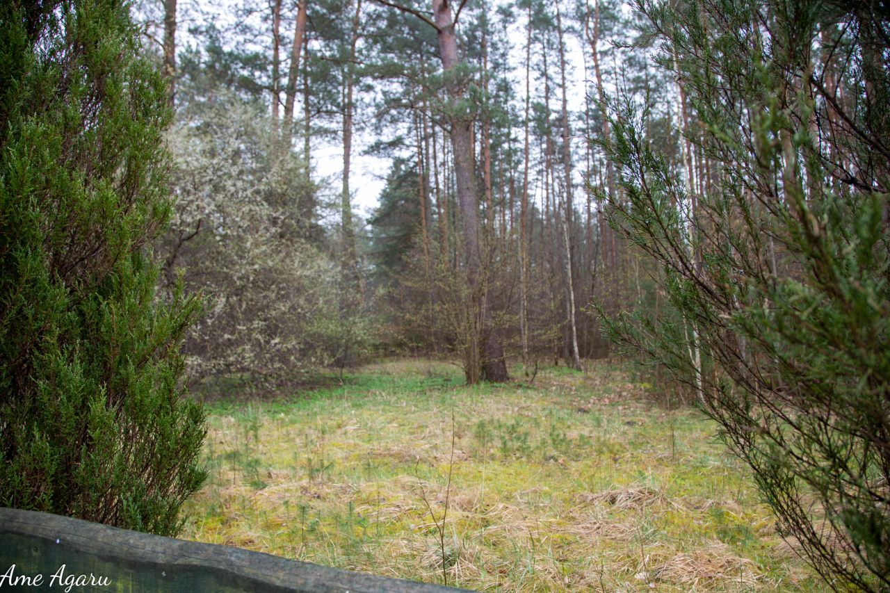 Działka budowlana Marózek. Zdjęcie 5