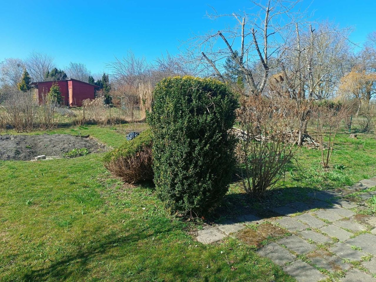 Działka rod Zimowiska. Zdjęcie 1