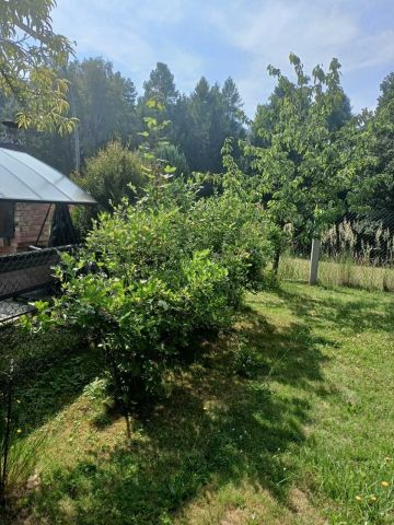 Działka rod Jastrzębie-Zdrój, ul. Wyzwolenia. Zdjęcie 1