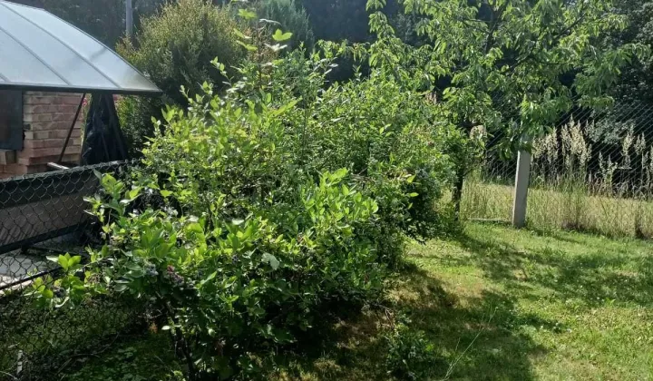 Działka rod Jastrzębie-Zdrój, ul. Wyzwolenia