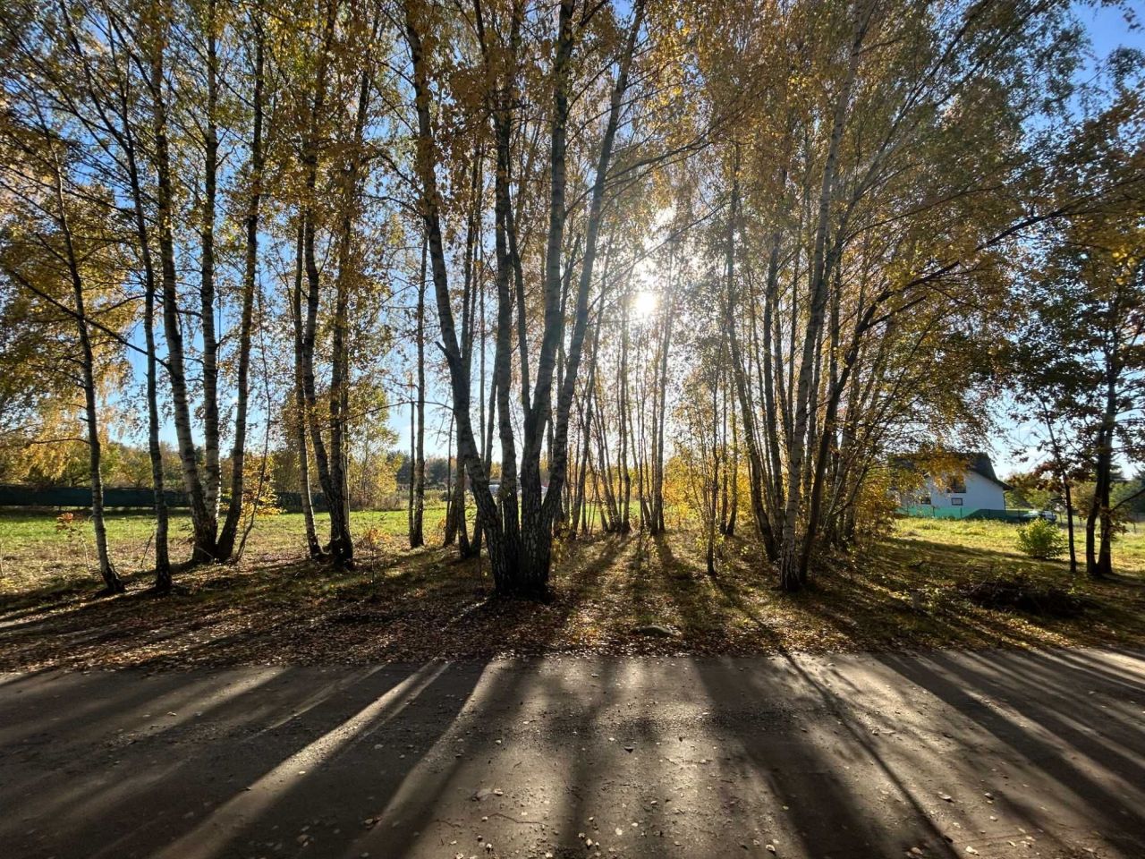 Działka budowlana Zalesie, ul. Mrowna. Zdjęcie 2
