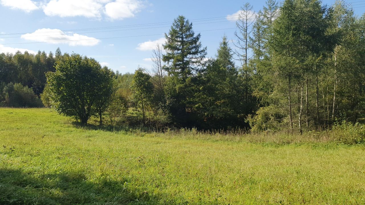 Działka siedliskowa Bukowina. Zdjęcie 3