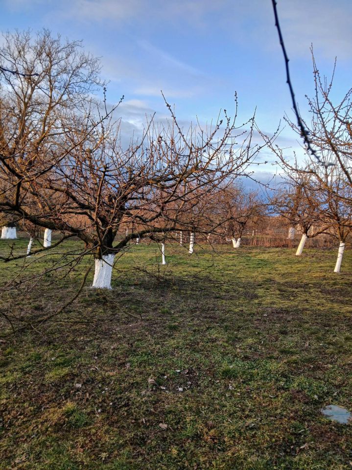 gospodarstwo, 4 pokoje Lipienica. Zdjęcie 5