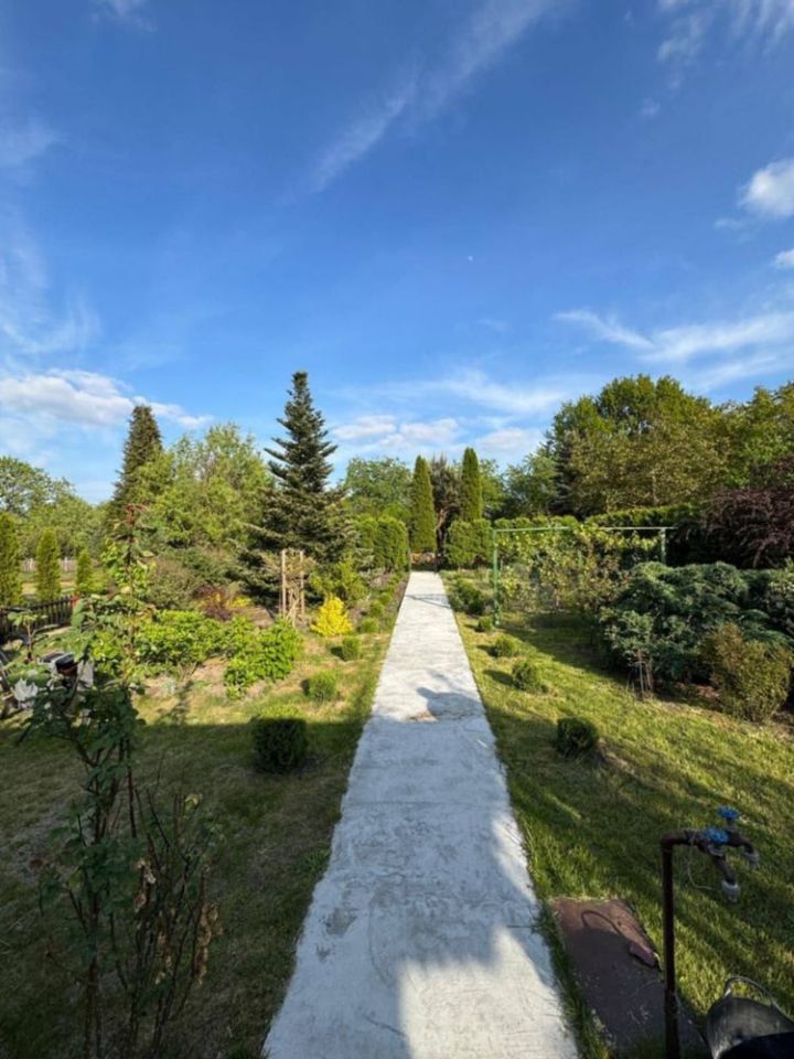 Działka rod Ostrzeszów. Zdjęcie 3