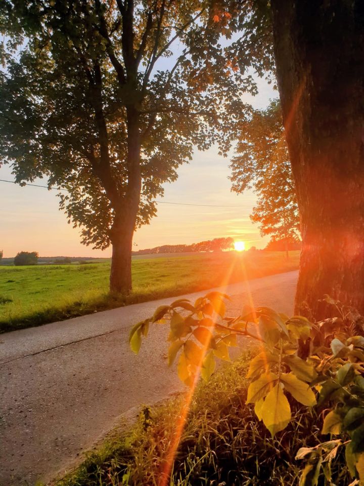 Działka rolno-budowlana Sztumska Wieś osada. Zdjęcie 4