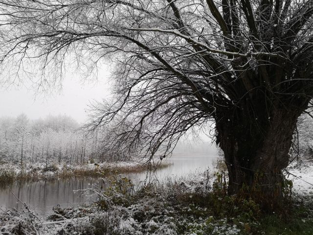 dom wolnostojący, 5 pokoi Kępa Polska. Zdjęcie 9