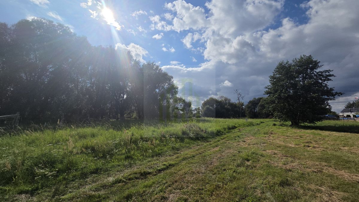 Działka inwestycyjna Jaktorów, ul. Błotna. Zdjęcie 13