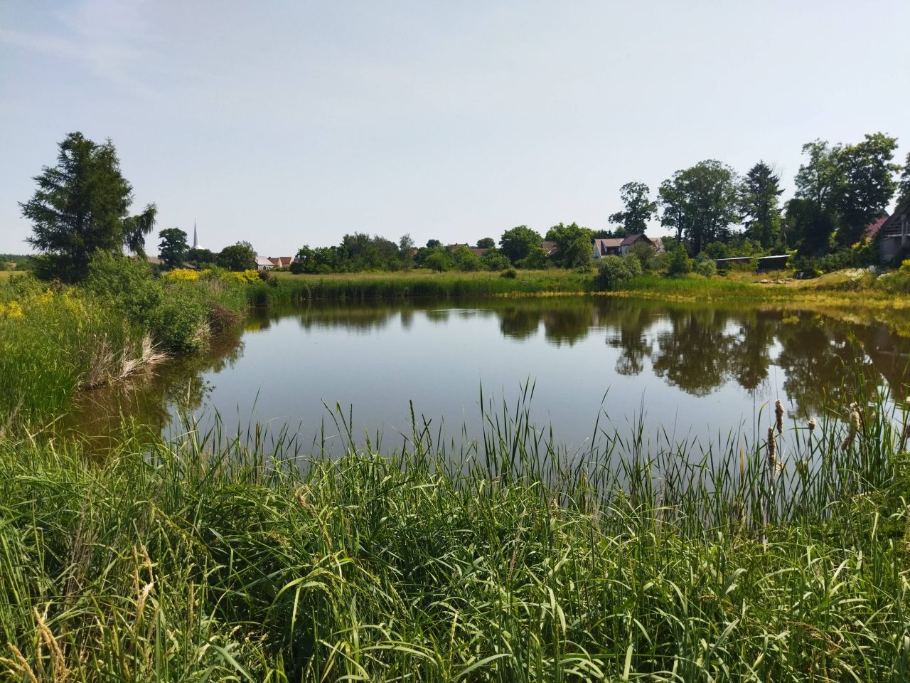 Działka rekreacyjna Nowa Jabłona. Zdjęcie 4