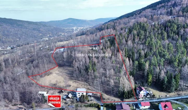 Działka leśna Stryszawa