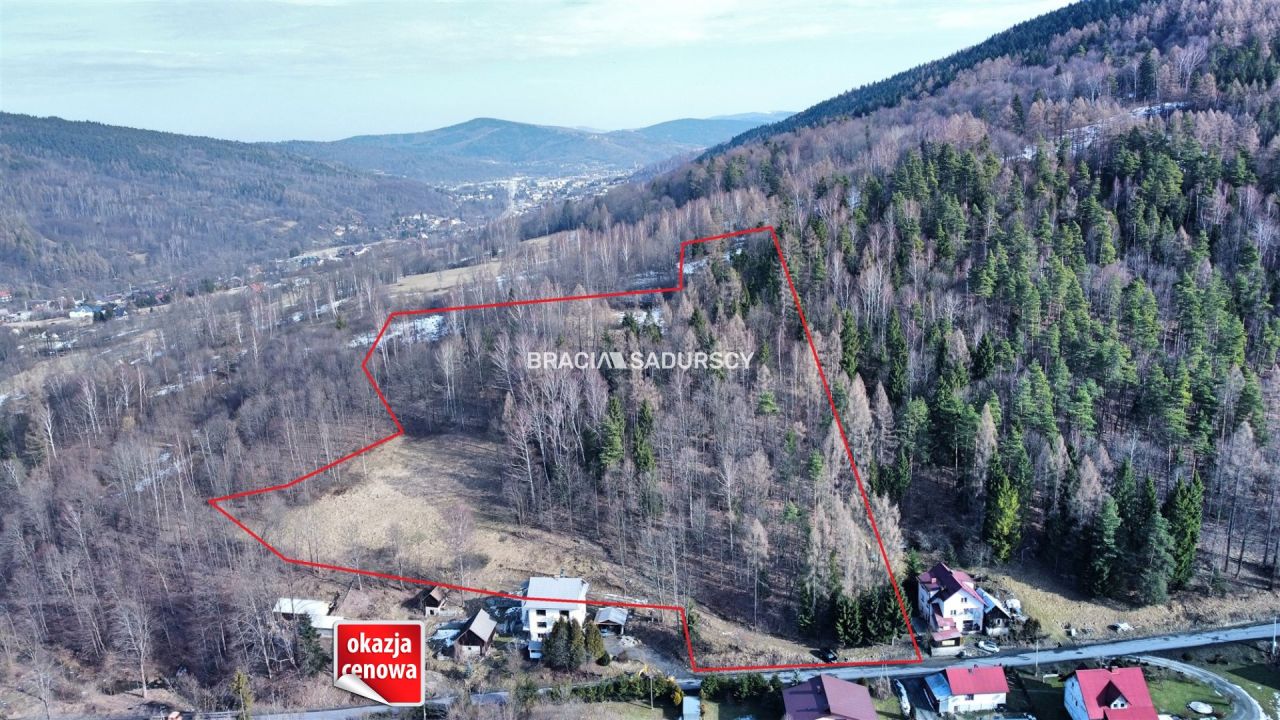 Działka leśna Stryszawa. Zdjęcie 1