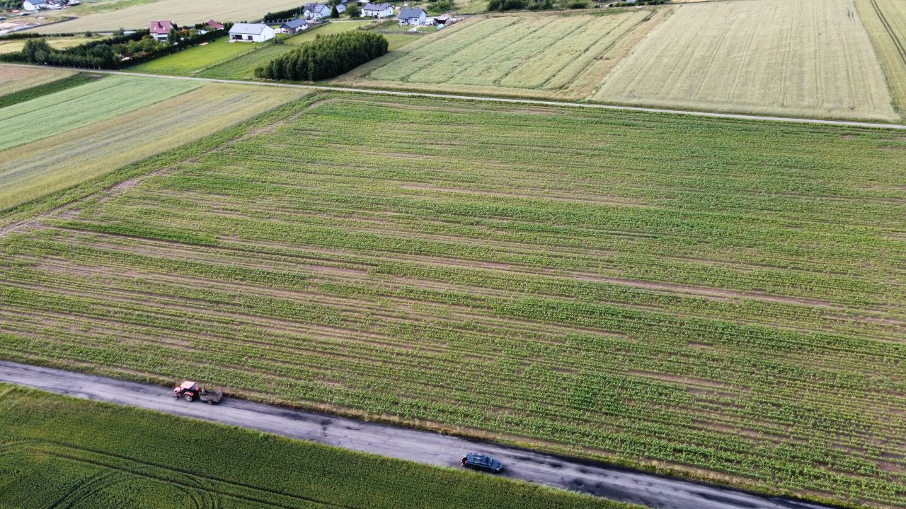 Działka rolno-budowlana Charzyno, ul. Zielona. Zdjęcie 7