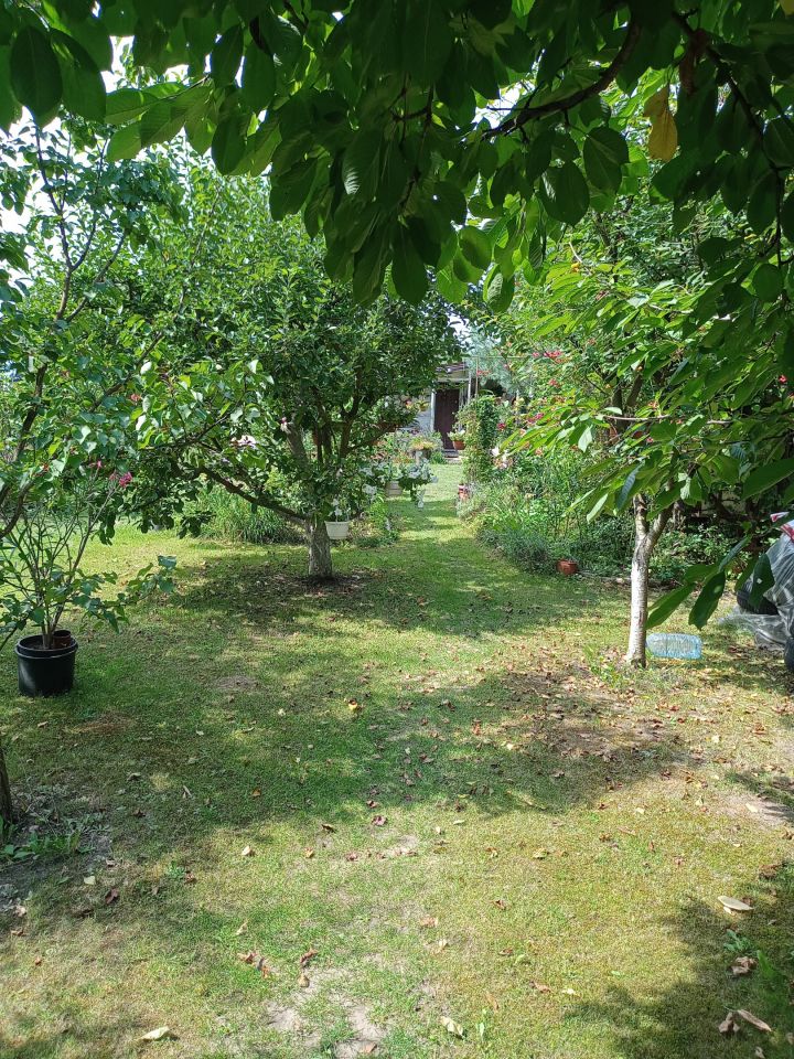 Działka rekreacyjna Wrocław Bierdzany, ul. Nizinna. Zdjęcie 28