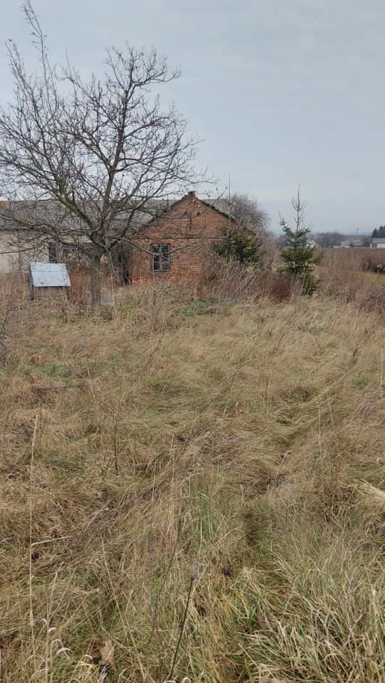 Działka siedliskowa Buchałowice. Zdjęcie 4