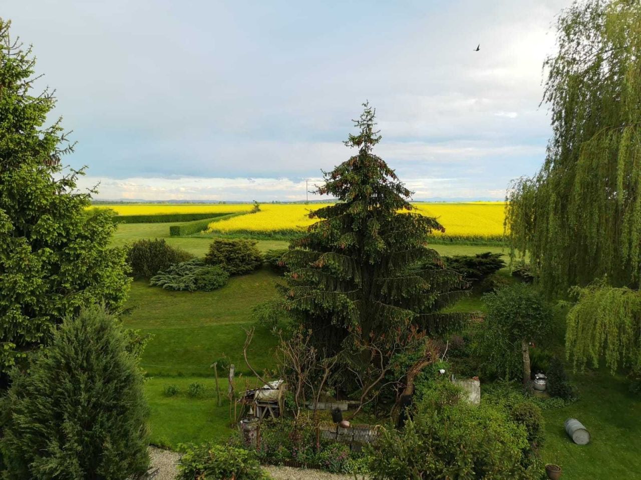 dom wolnostojący, 12 pokoi Radziechów. Zdjęcie 3