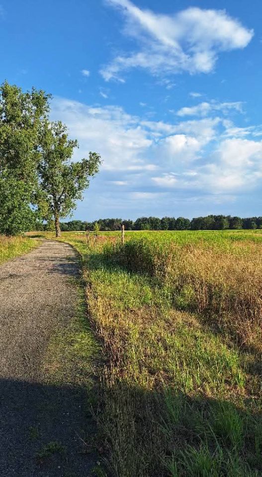 dom wolnostojący, 3 pokoje Dąbrówka Dolna, ul. Budkowska. Zdjęcie 14
