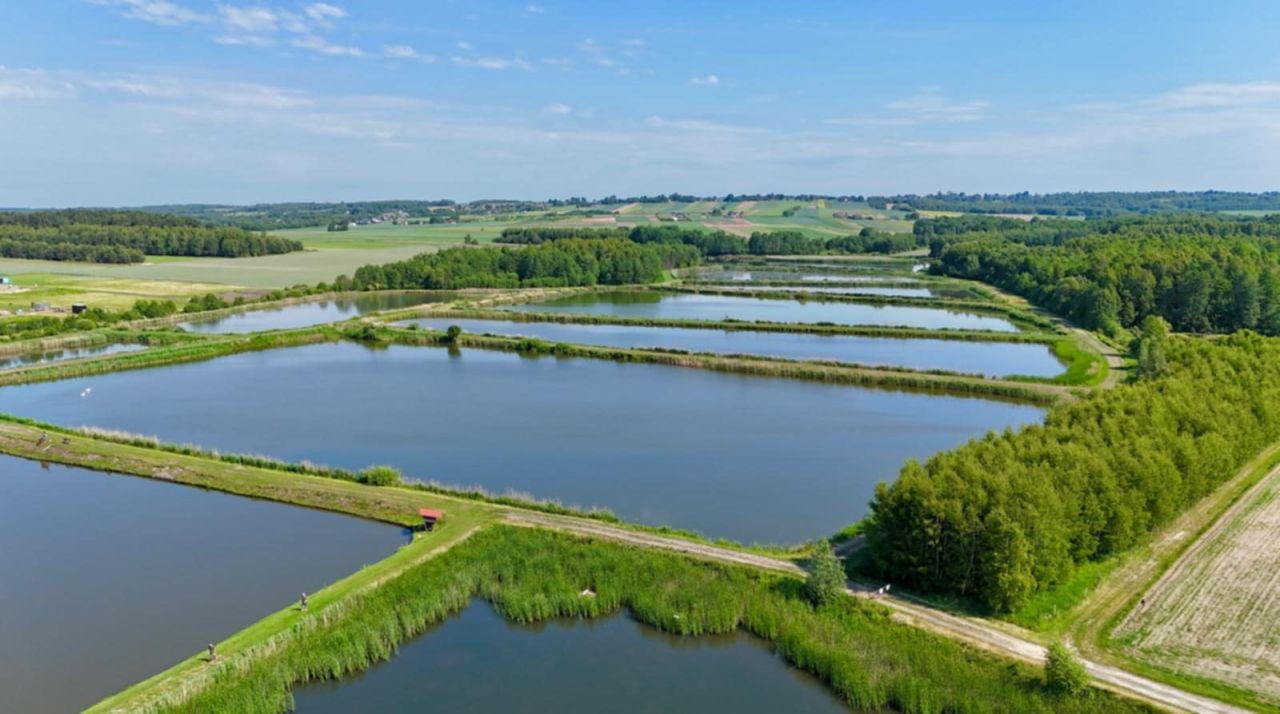 bliźniak, 4 pokoje Ruda Wołoska, ul. Szkolna. Zdjęcie 14