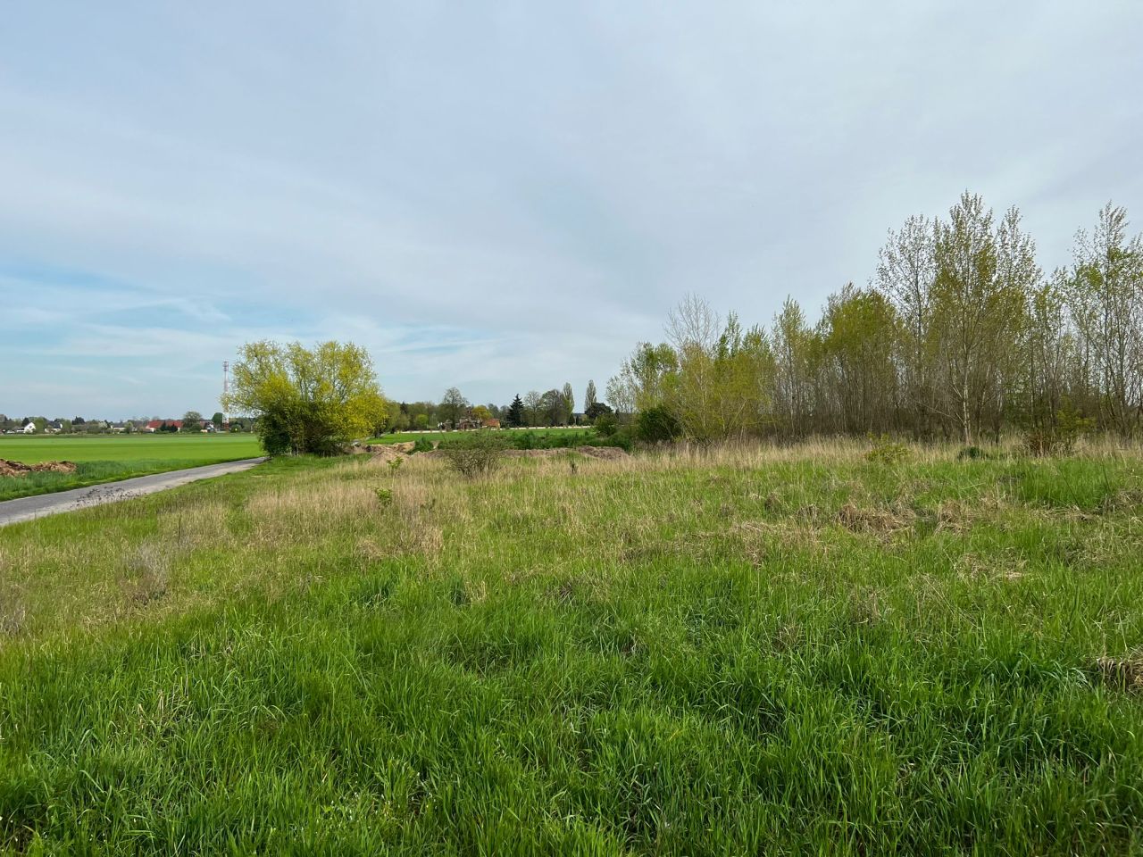 Działka rolna Kolsko, Kolsko. Zdjęcie 2