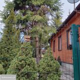 Mieszkanie 2-pokojowe Michałowo, ul. Hieronimowska. Zdjęcie 1