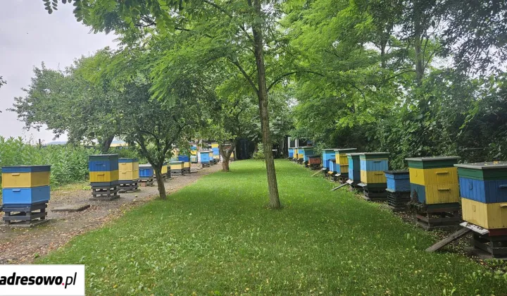 Działka rolna Runowo Krajeńskie