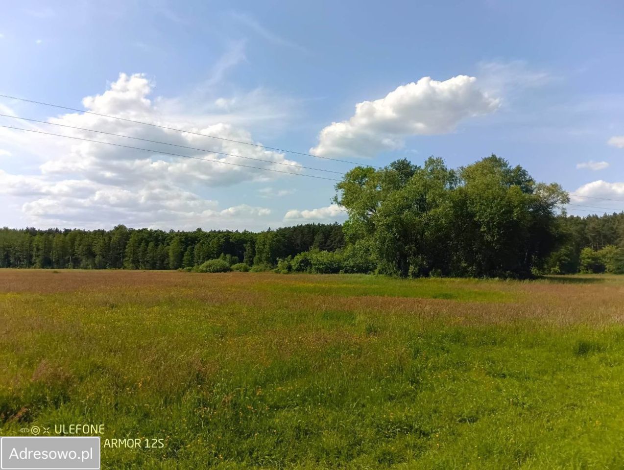Działka rekreacyjna Popowo-Parcele, ul. Sosnowa. Zdjęcie 3