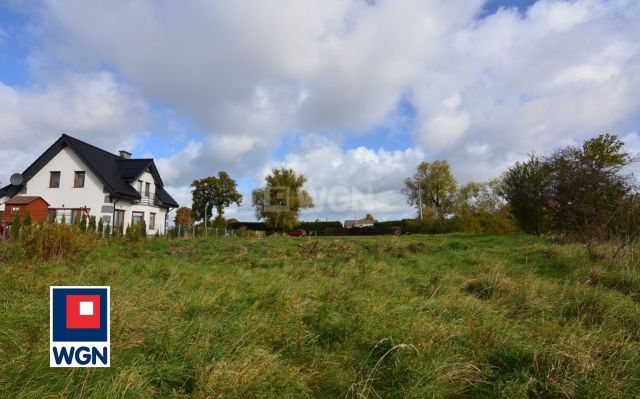 Działka rolna Rogity. Zdjęcie 7