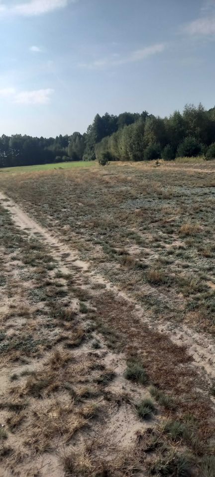 Działka budowlana Łysobyki. Zdjęcie 2