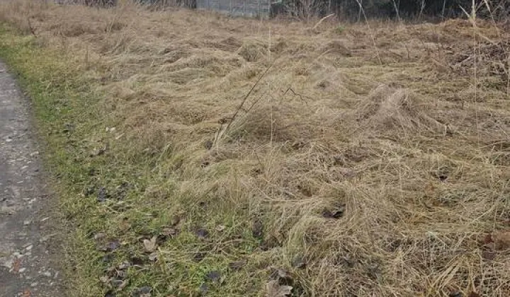 Działka budowlana Opoczno, ul. Edmunda Biernackiego