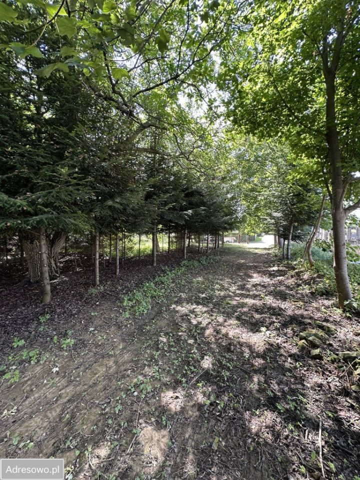 dom wolnostojący, 3 pokoje Rachanie, ul. Cicha. Zdjęcie 4