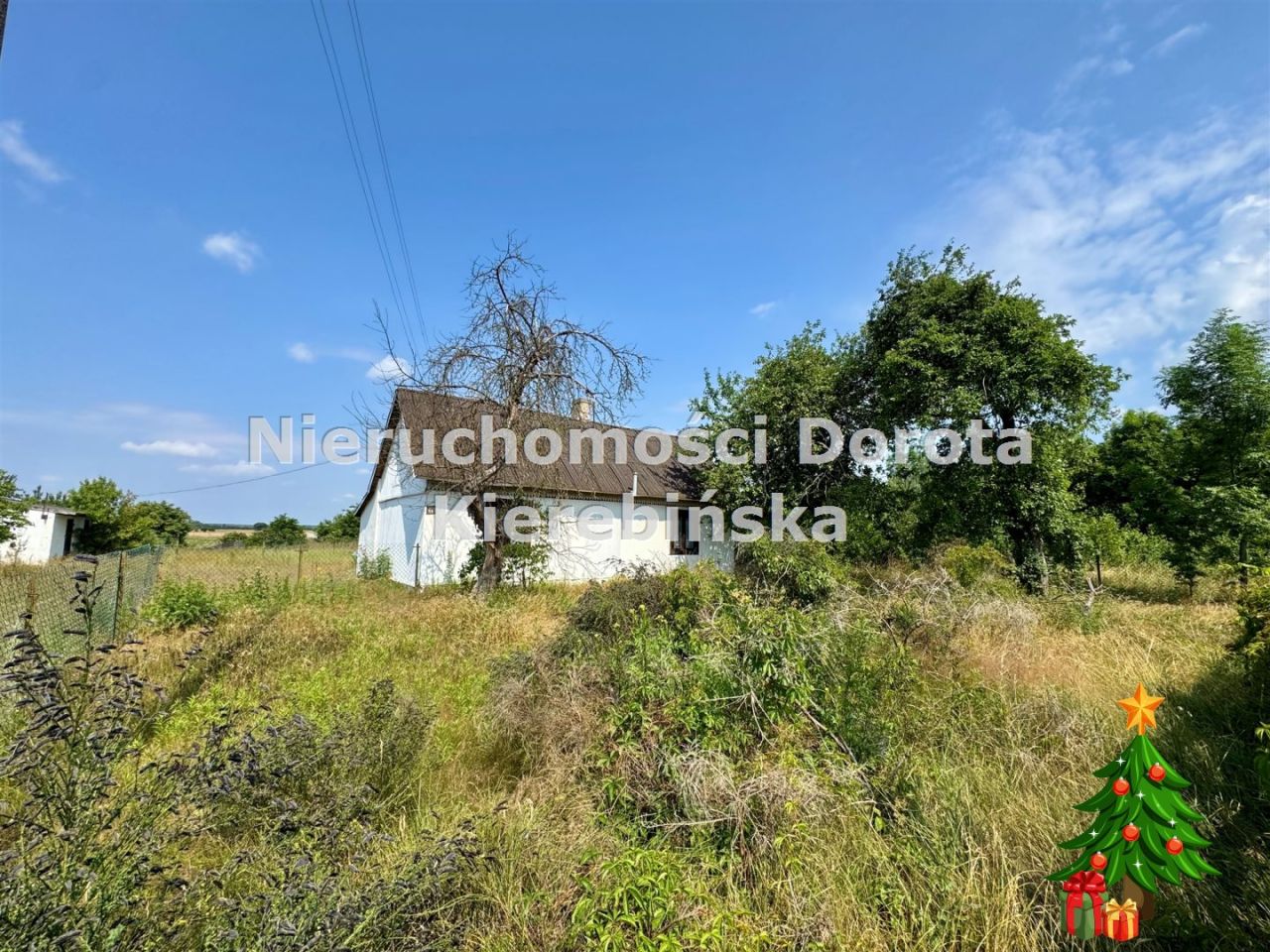 dom wolnostojący, 2 pokoje Twarda, ul. Południowa