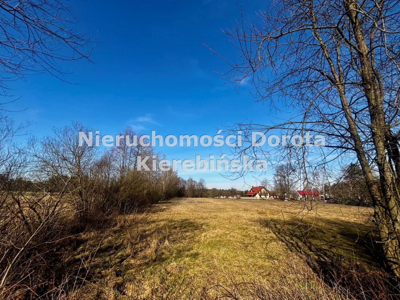 Działka rolna Kozłowiec. Zdjęcie 8
