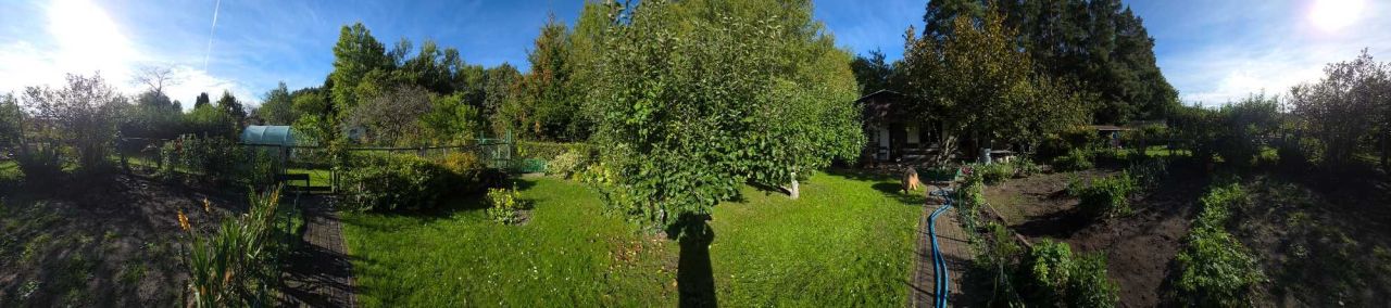 Działka rod Olsztyn. Zdjęcie 2