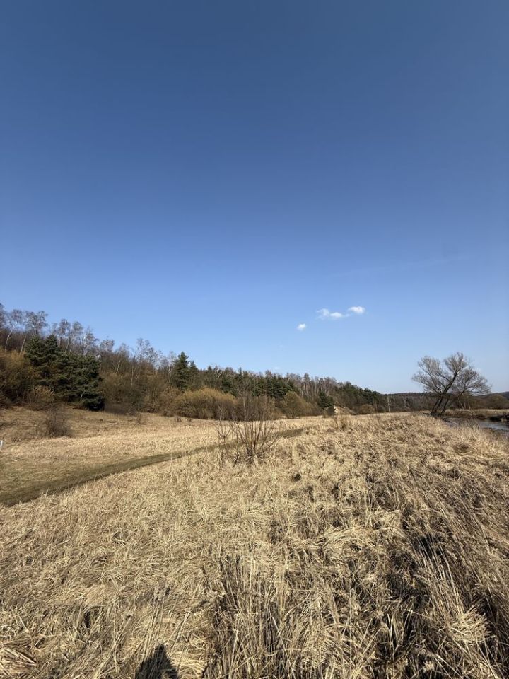 Działka rekreacyjna Częstochowa Mirów. Zdjęcie 7